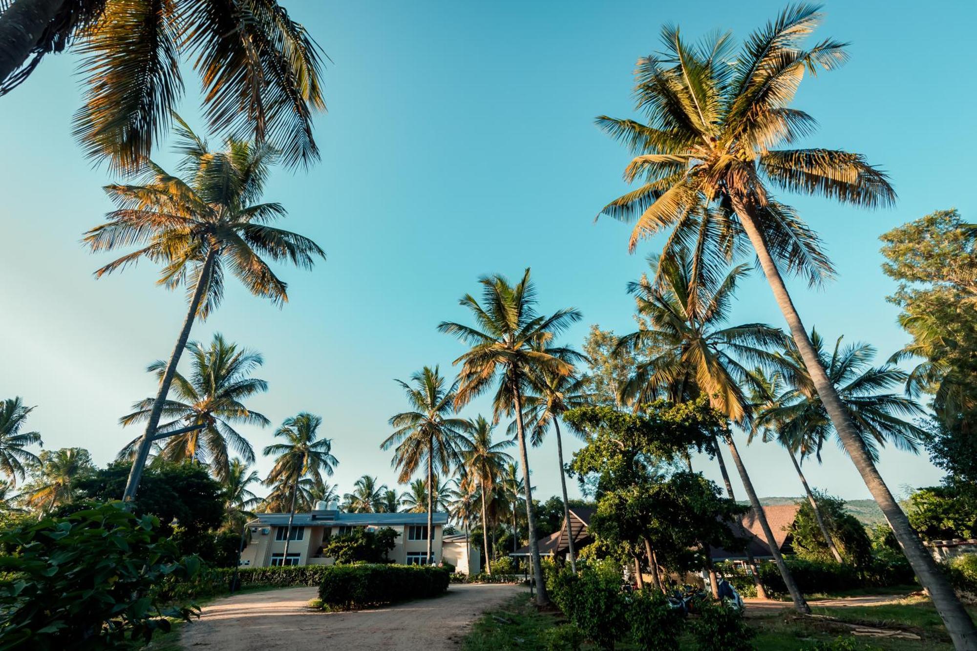 Commune18 Spa Resorts Chikmagalūr Buitenkant foto