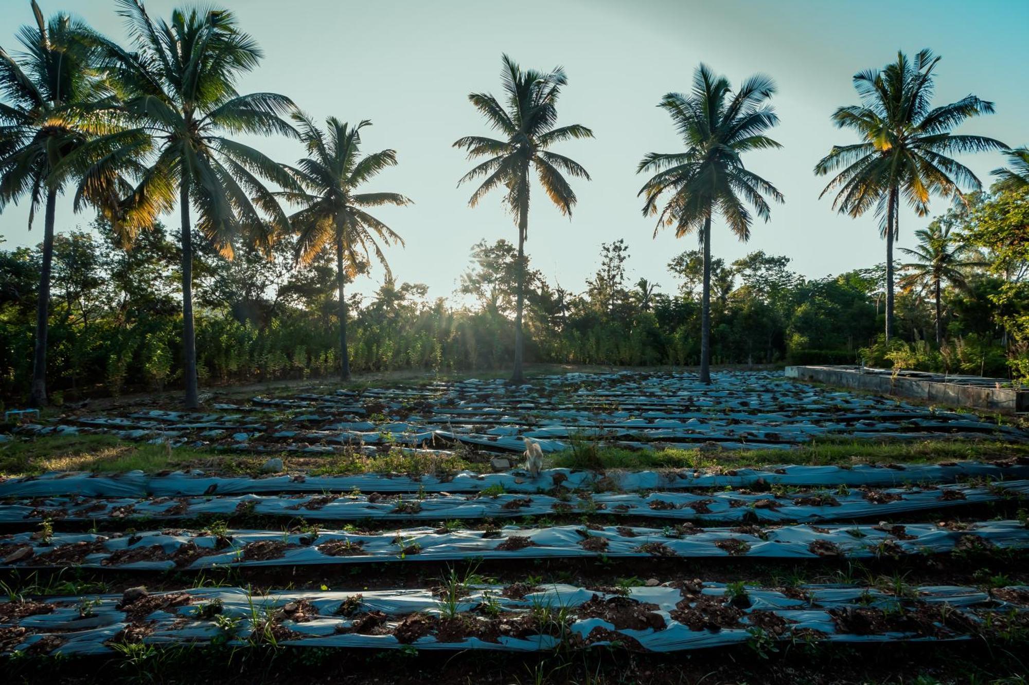 Commune18 Spa Resorts Chikmagalūr Buitenkant foto